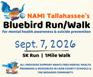 BlueBirdRun Blue Bird Run